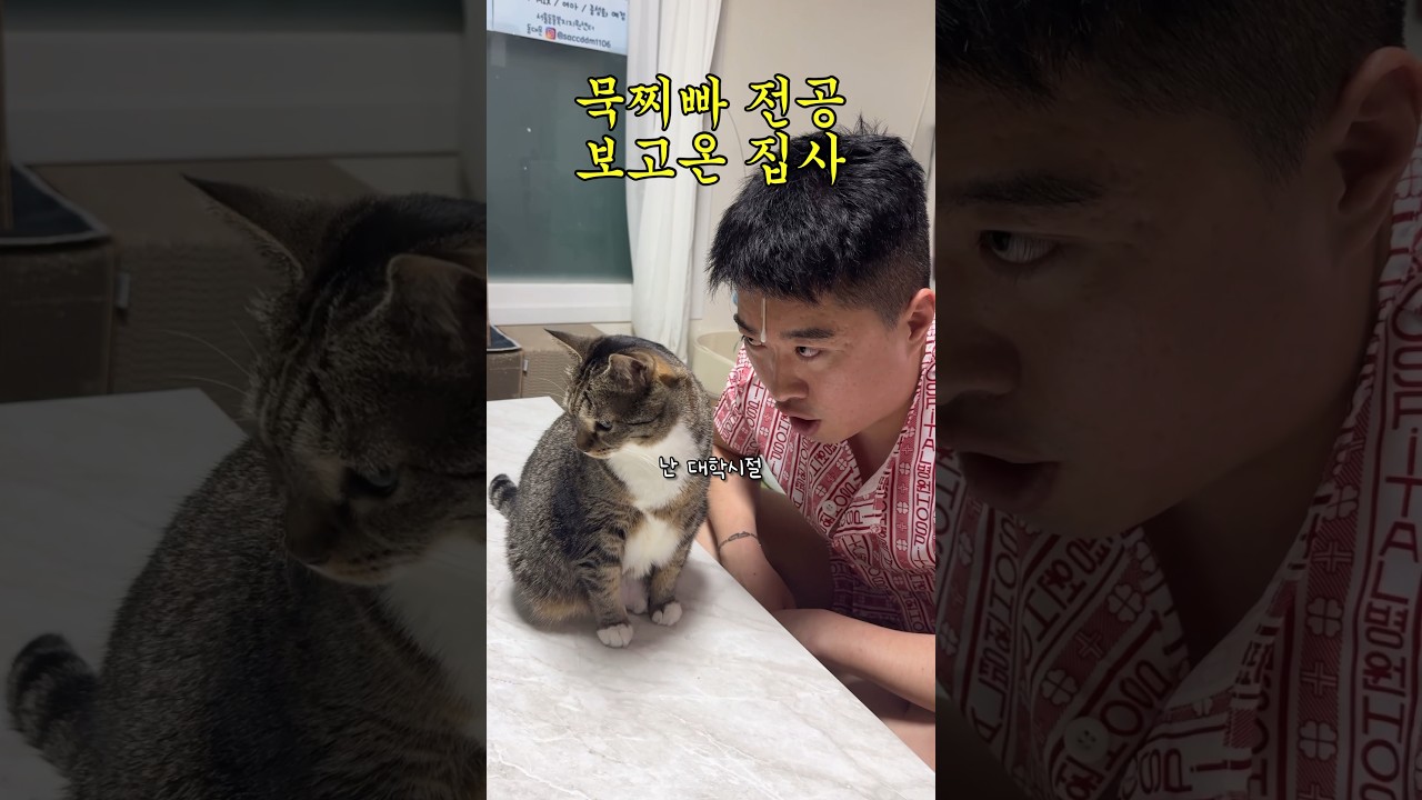 고양이 집사의 하악질 유학기 😺
