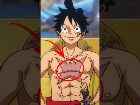 AONDE LUFFY GANHOU A CICATRIZ ONE PIECE