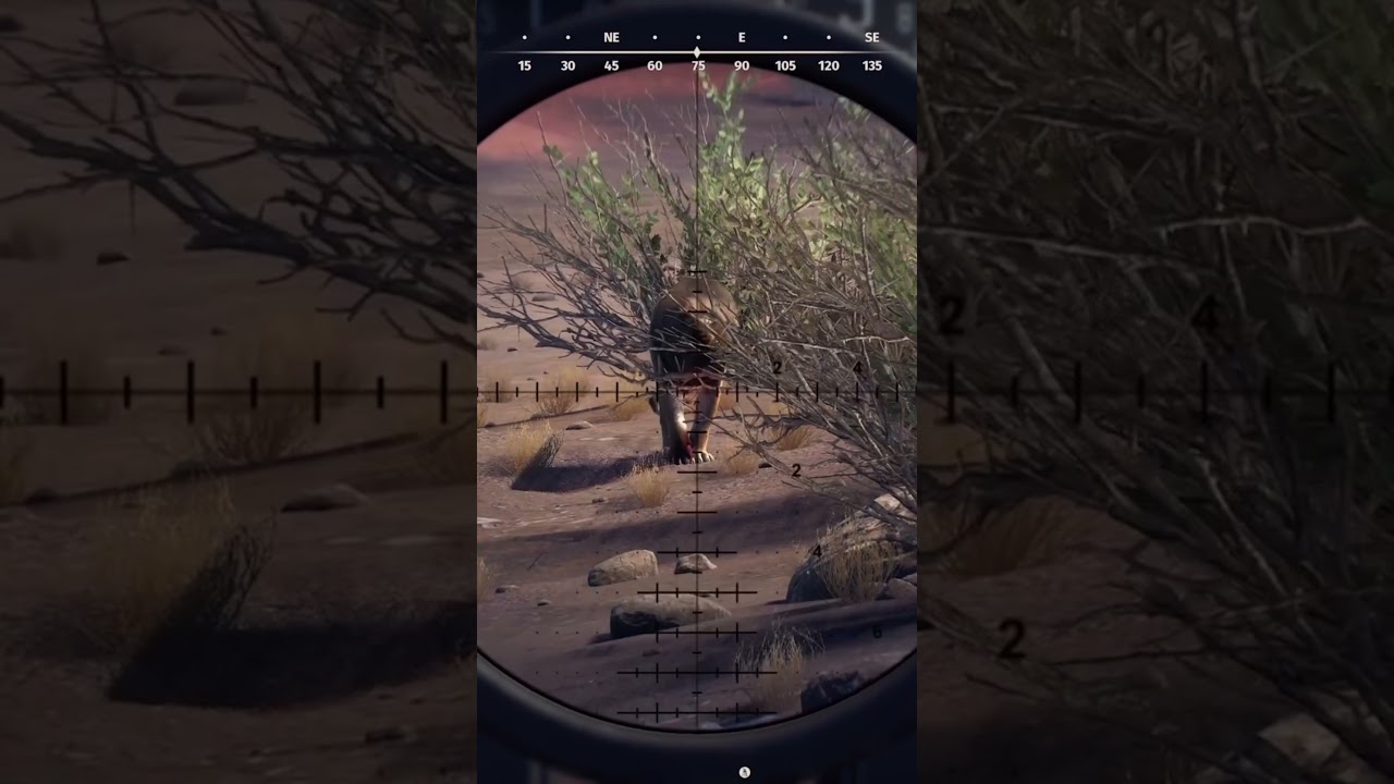 The 5 5-Star Man-Eating Lion of Tikamoon Plains 🦁