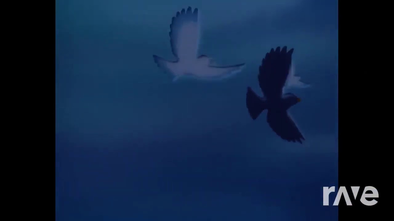 Le Rat Chante Pour Toi* Hd - Mathilde Guillon & Ptitpoissondor | RaveDj