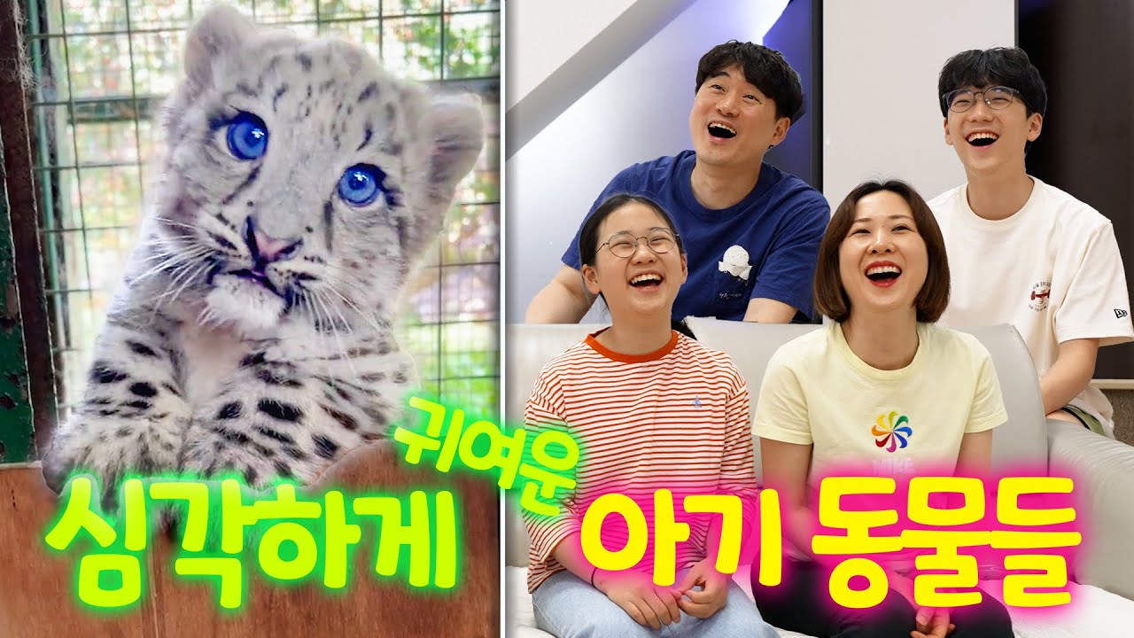 치명적 귀여움! 보호 본능 자극하는 아기 동물들 🐾