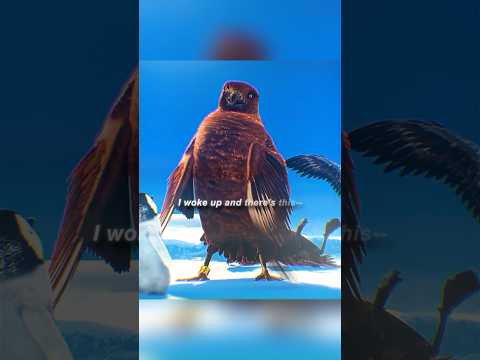 Who put the leg band on this bird?#film #series #shortvideo