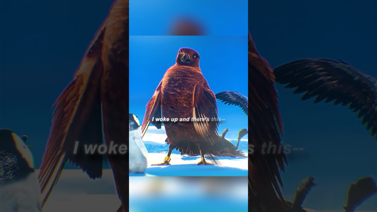 Identifying Who Placed the Leg Band on This Bird