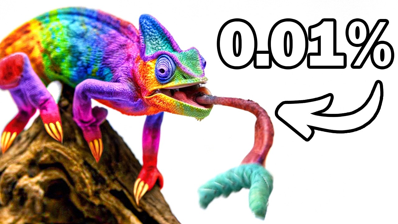 My Rare Red & Blue Chameleon Pet 🦎