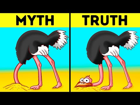 101 Fascinating Facts You Won't Believe! 🤯