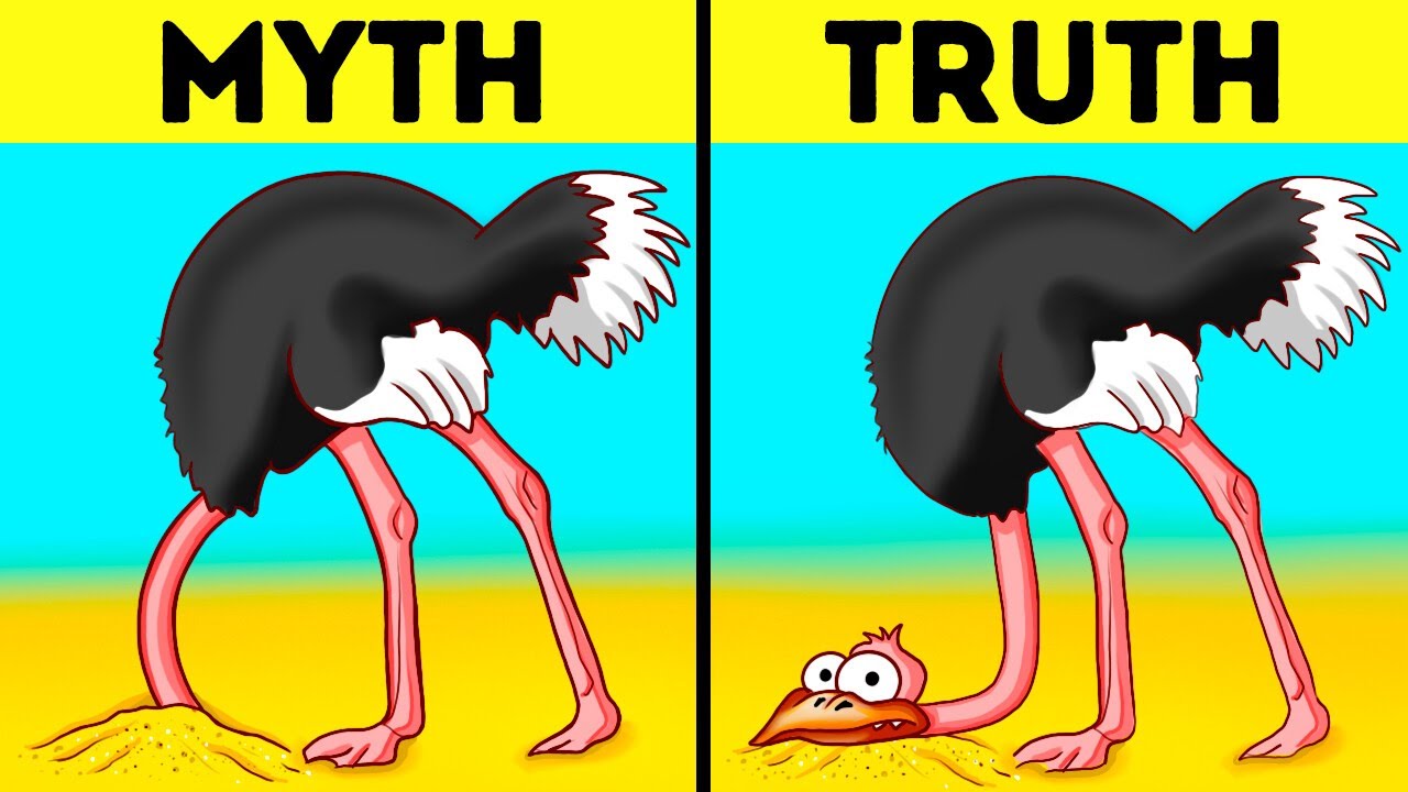 101 Fascinating Facts You Won't Believe! π€―