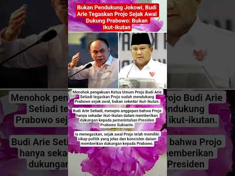 Bukan Pendukung Jokowi, Budi Arie Tegaskan Projo Sejak Awal Dukung Prabowo: Bukan Ikut-ikutan