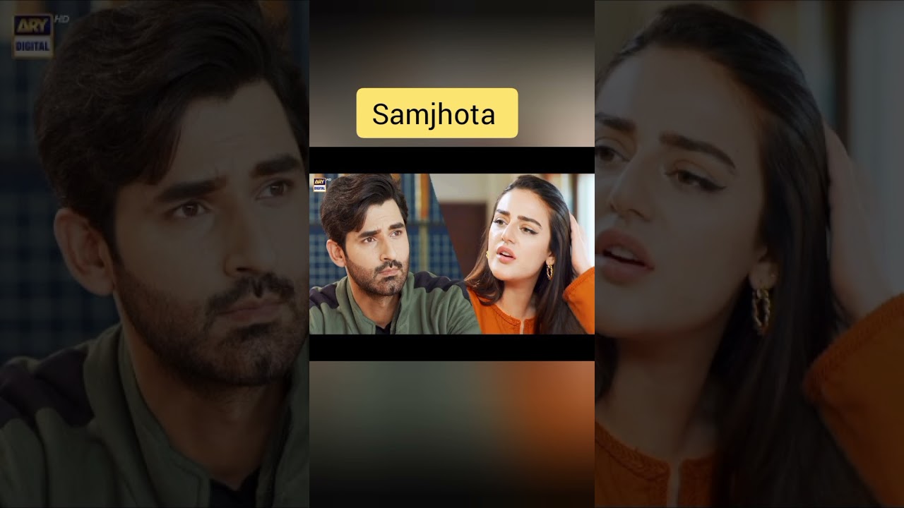 Mirza Zain Baig's Stunning Drama Heroine Photos 📸