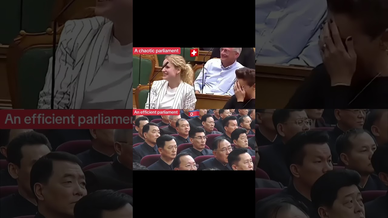 European Parliament VS. North Korea's Efficient Parliament #northkorea #kimjongun #democracy