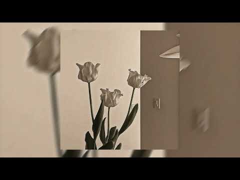 DJ Kays ft. Souf - Beauté tunisienne //speed up//