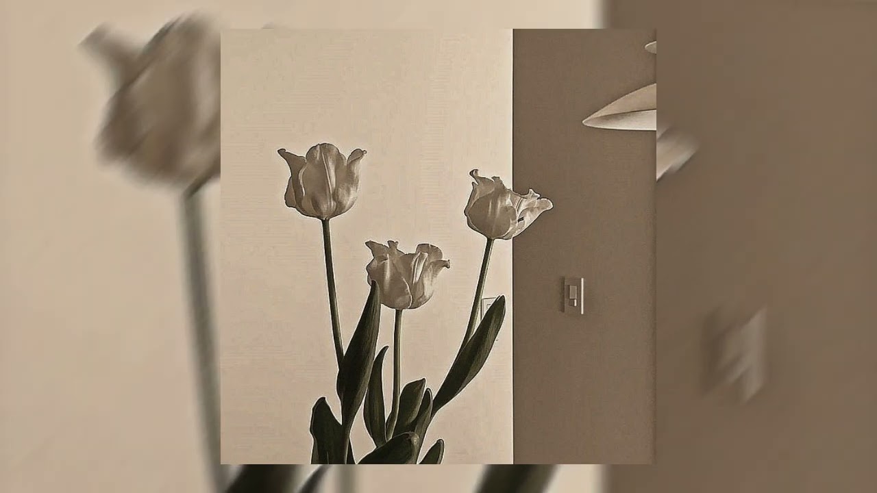 DJ Kays ft. Souf - Beauté Tunisienne (Speed Up) 🎶