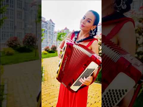 «Синий платочек» Г.Петербургский #аккордеон #баян #музыкадлядуши # #играйгармонь