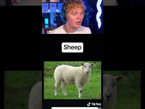 Hybrid Animals You Didnāt Know Existed! š¤Æ