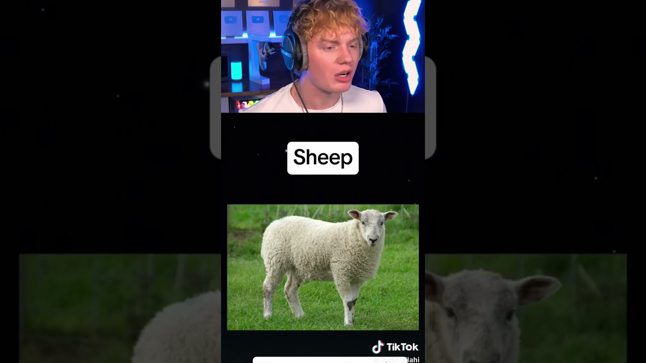 Unbelievable Hybrid Animals You Never Knew Existed! 🤯