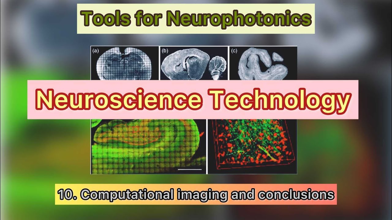 10. Top Tools for Neurophotonics: Unlocking Brain Imaging Advances đ§