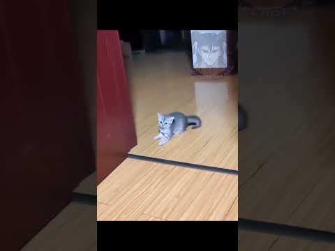 LA NATURALEZA ES BONITA 74