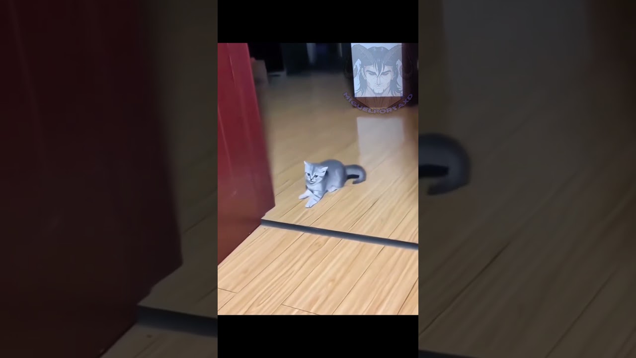 La belleza de la naturaleza y animales 🐼