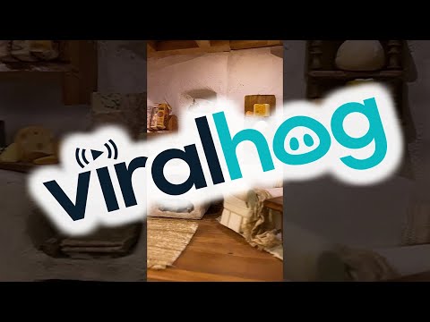 Adorable Mini Mouse House Hidden In Wall || ViralHog