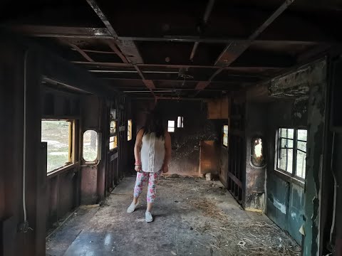 PELICULA EL BOSQUE SINIESTRO