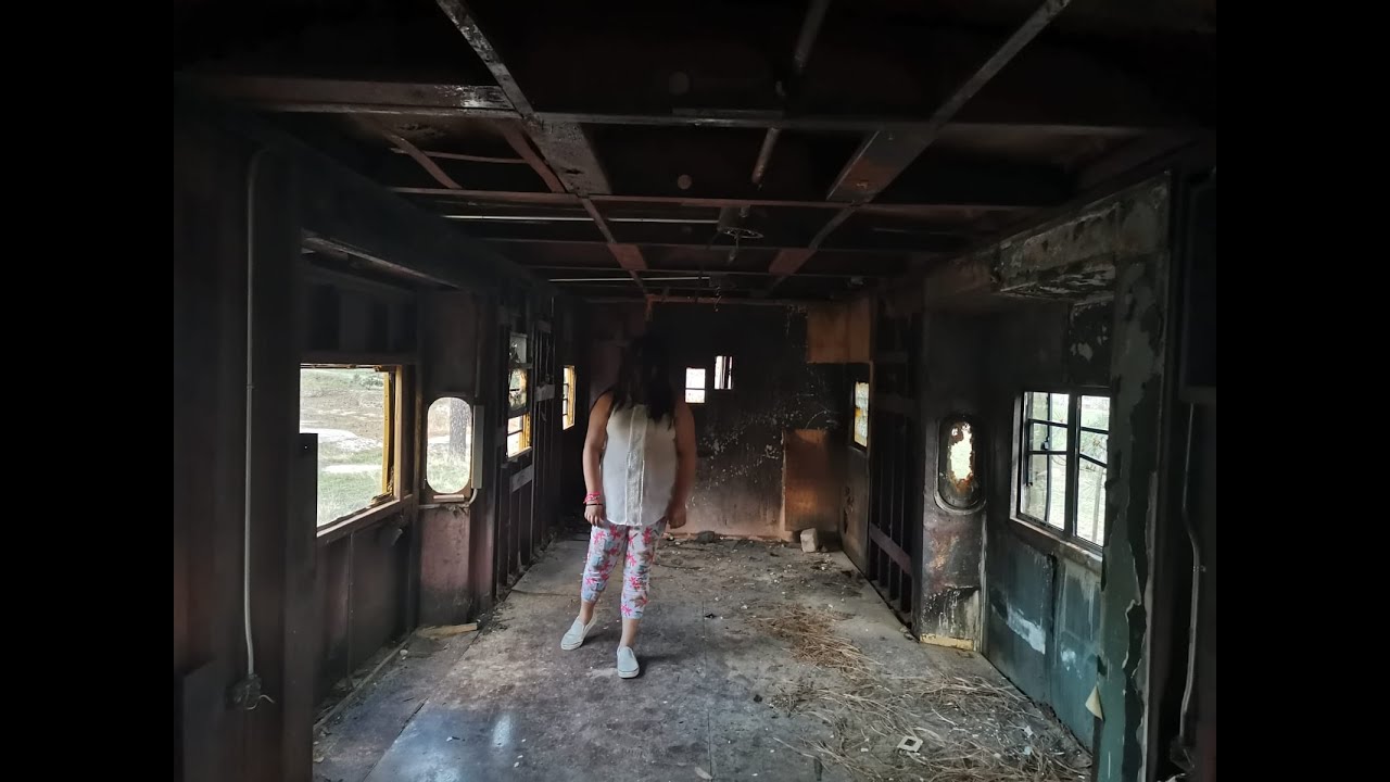 PelĂcula El Bosque Sinistro: Un Corto Familiar Entretenido