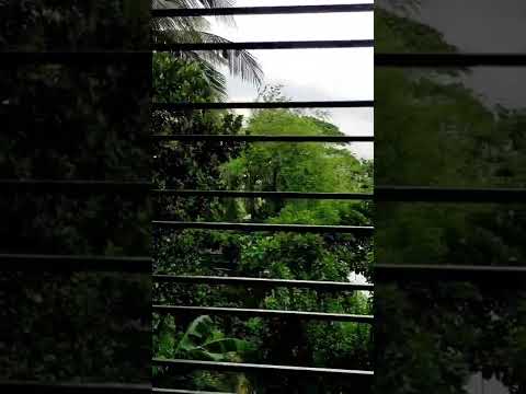 এমন দিনে তারে বলা যায়,এমন ঘনঘোর বরিষায় । #shorts #ytshorts #poem #romantic #shompamoni