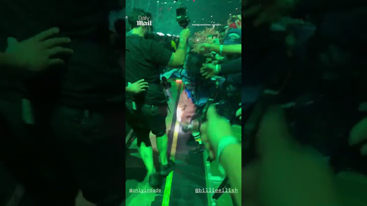 Fan Pulls Billie Eilish Over Barricade 😱