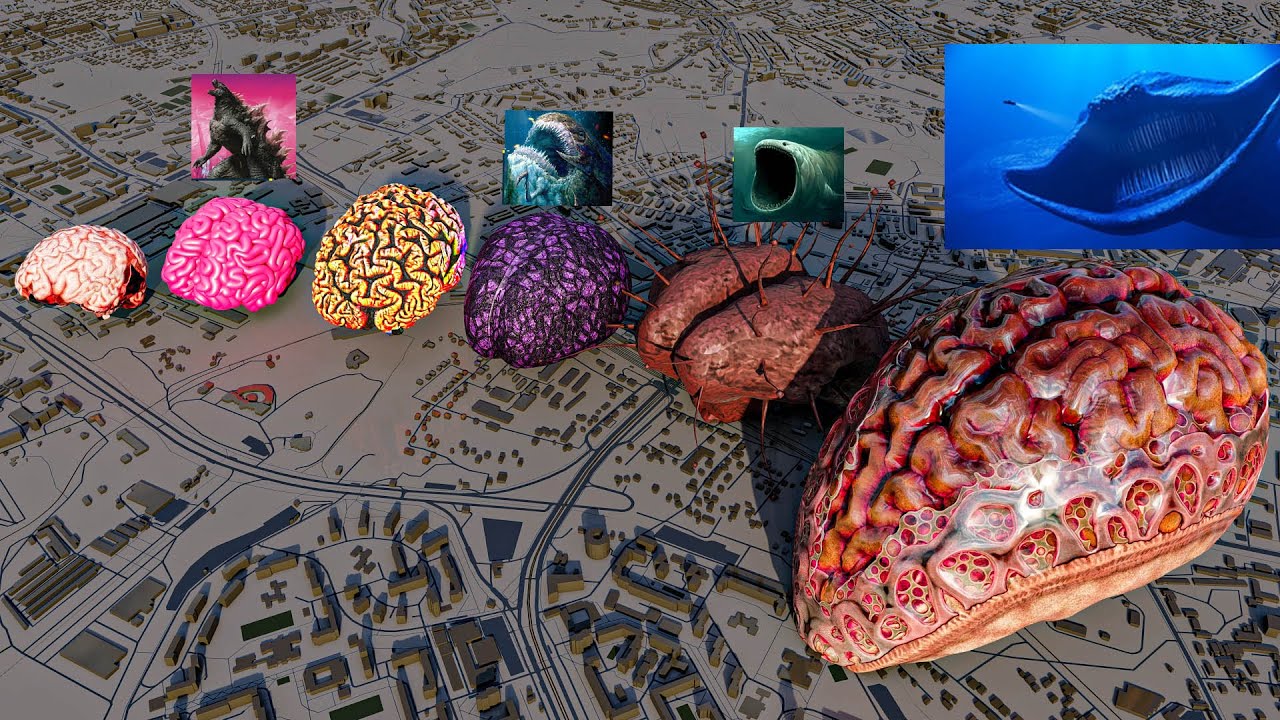 Monster Brain Size Comparison 🧠 | Top Smartest Creatures