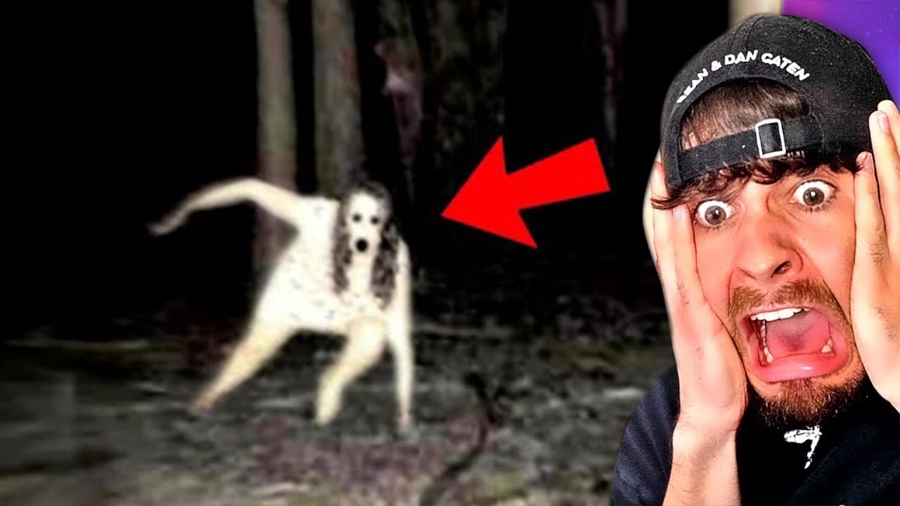 200 Gruselige Videos 👻