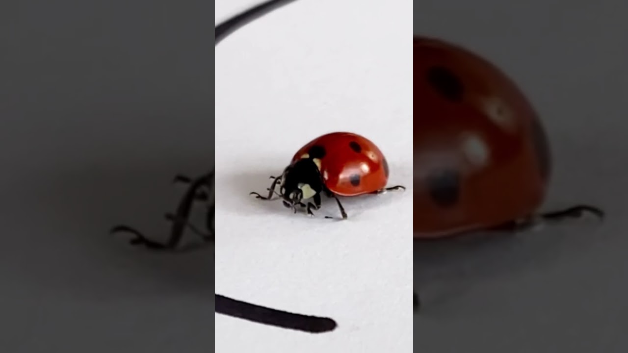 Amazing Experiment That Actually Works! 🔬 #Shorts