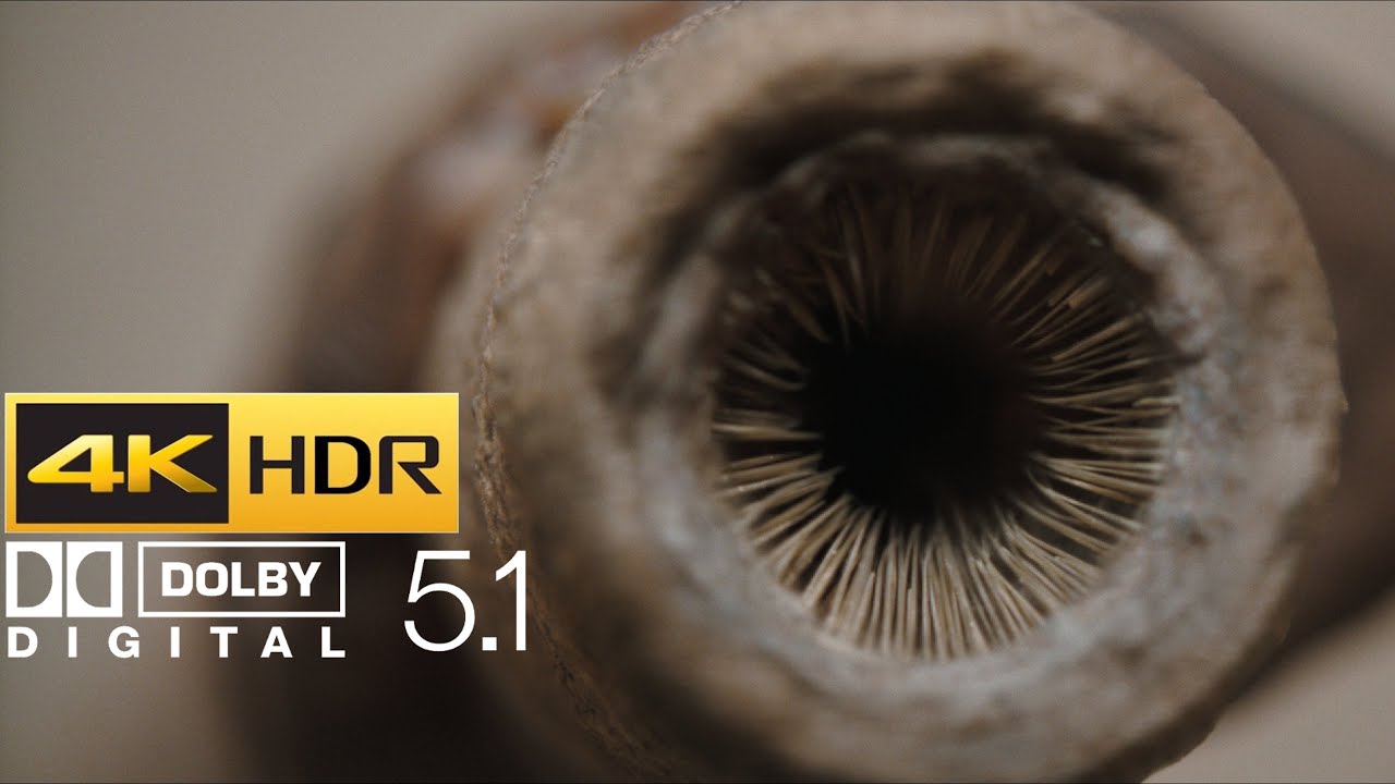 Dune: Part Two - Baby Sandworm & Water of Life π