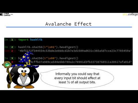 Avalanche Effect