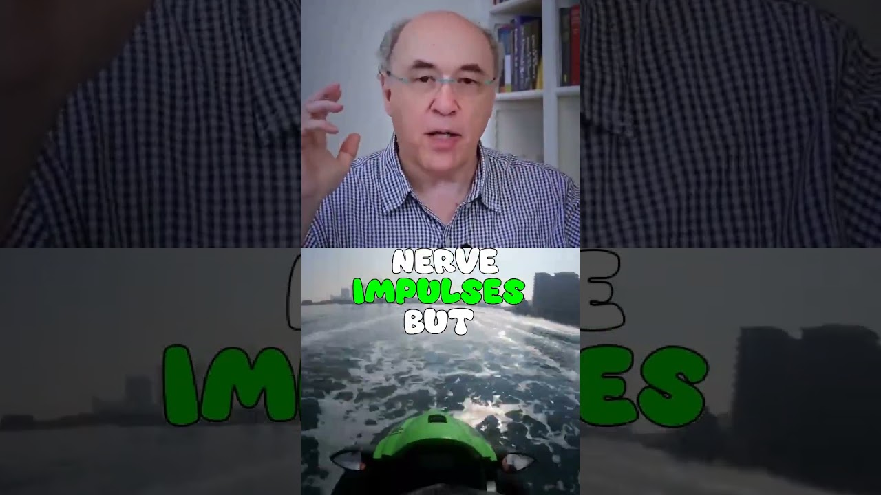 Discover the Revolutionary Work of Stephen Wolfram in Science and Computation 🧪