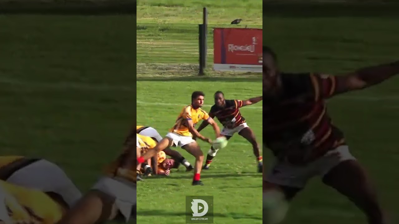 Try! 🏉 Rugby Action Highlights