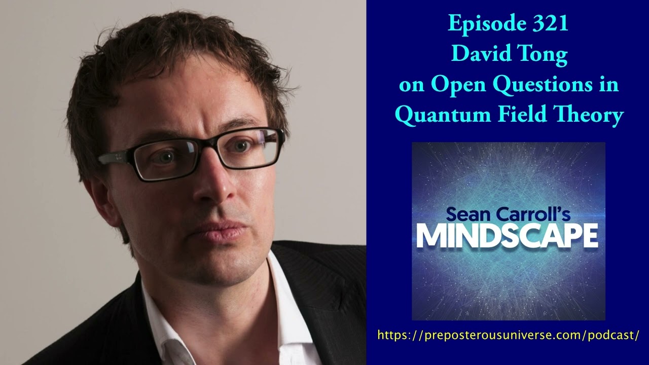 Mindscape 321 | David Tong on Quantum Field Theory 🤔