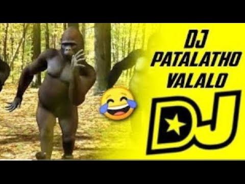 DJ Paatalatho Valalo Gorilla Version πΆ