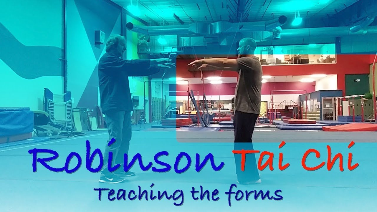 Wu Style Tai Chi Form Practice Demonstration 🥋