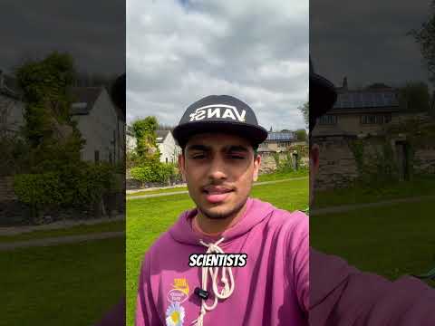 Computer Engineering vs Computer Science #imperialcollegelondon #alevel #uni