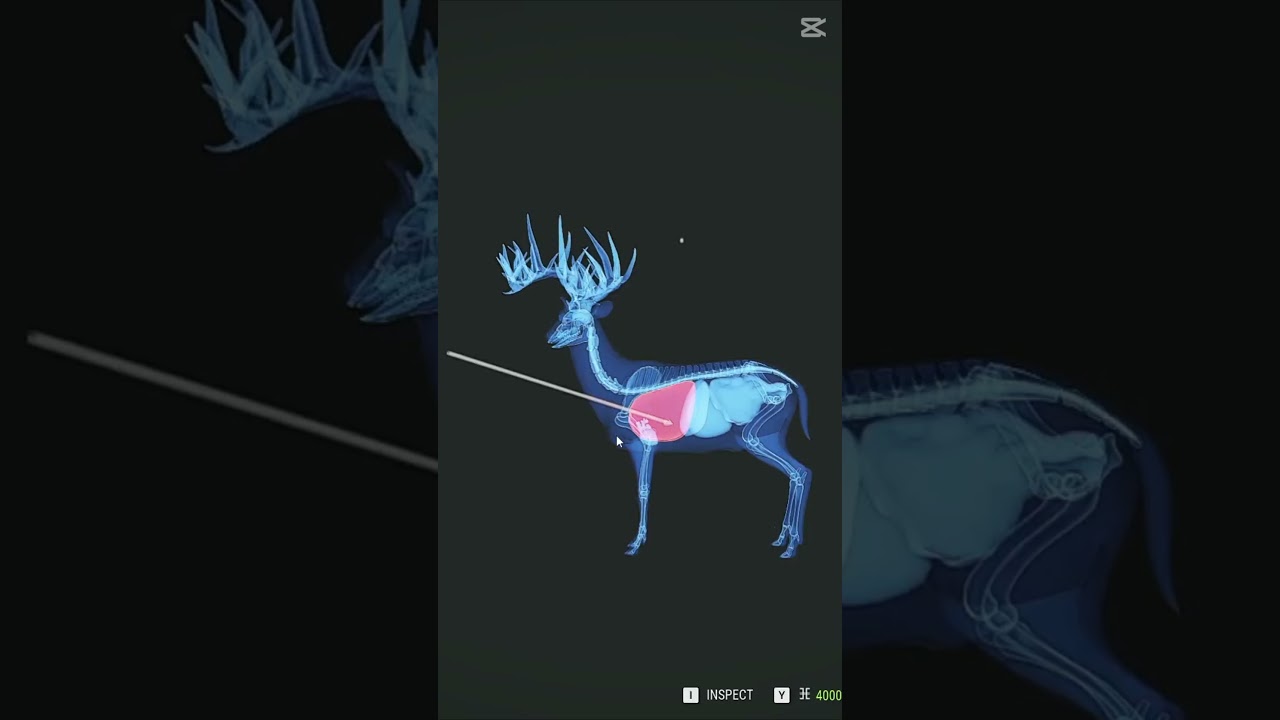 I NOSCOPED a Great Whitetail 🦌 | Hypifed in theHunter