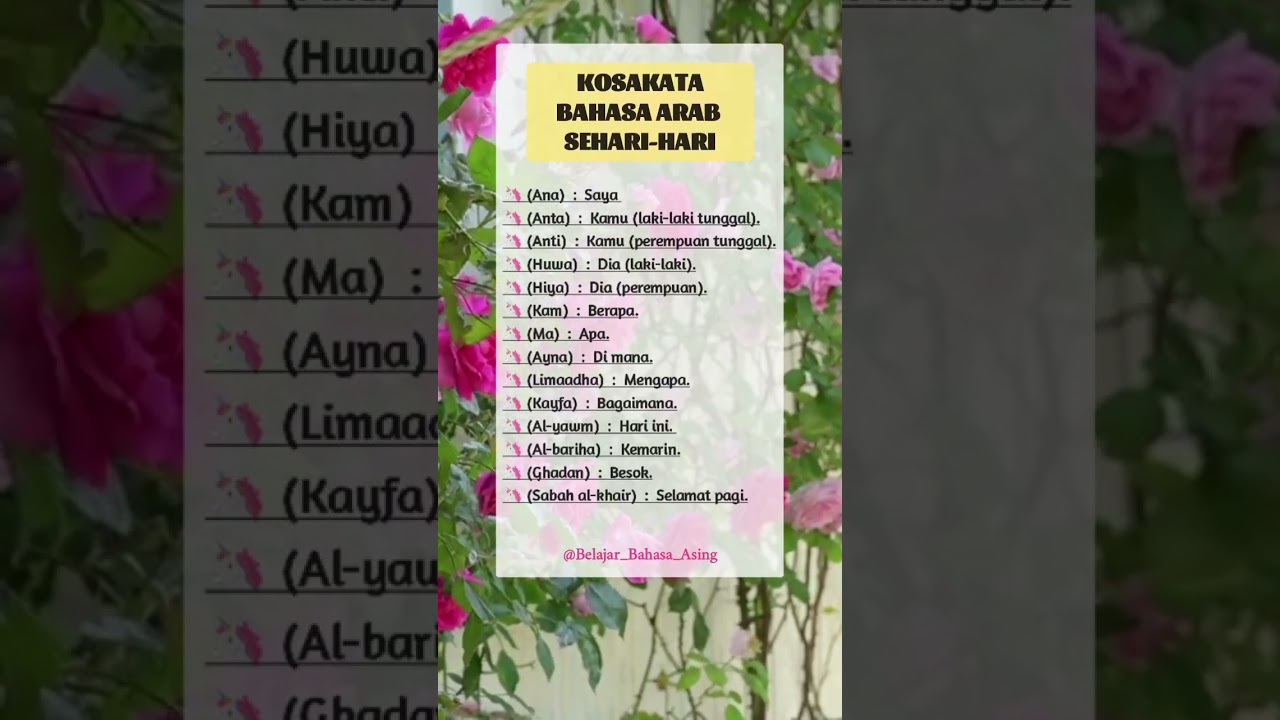 Kosakata Arab Sehari-hari π£οΈ