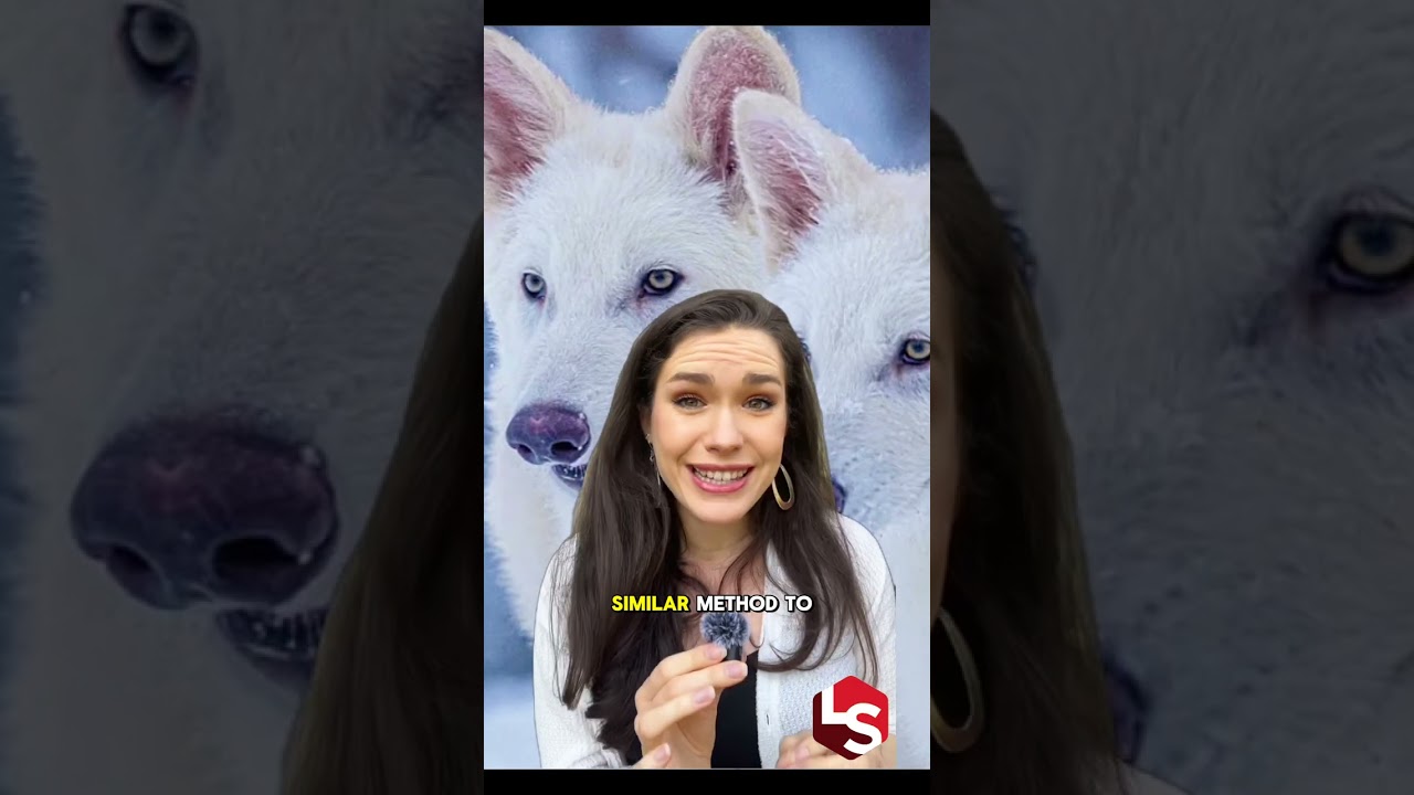 Scientists Create Dire Wolf Pups After 10,000 Years 🧬