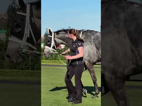 Valiant King! Runs down Gilded Water to claim a golden ticket into the 2025 Lexus Melbourne Cup! 🏆✨