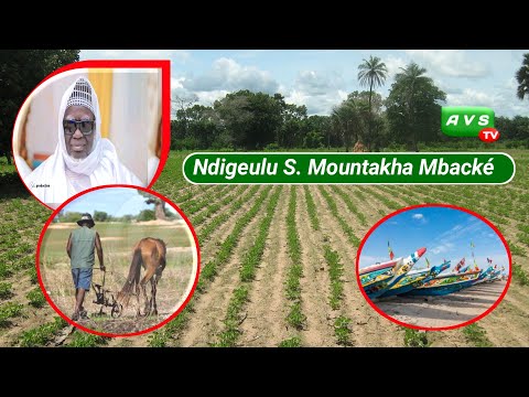 un pêcheur à été tué par un tali... si ndigeulu S. mountakha Mbacké nguir wadial nawétbi