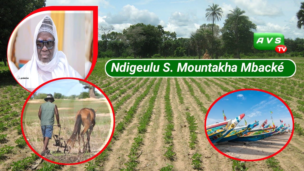 Pêcheur tué par un tali à Ndigeulu S. Mountakha Mbacké