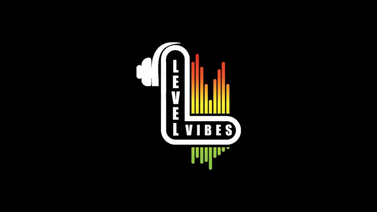 Level Vibes: ZR 56 & ZR 508 Reggae Beats πΆ