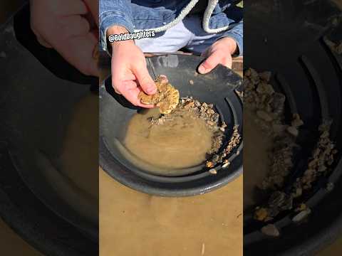 Guy Throws Away $40,000 Gold Nugget..