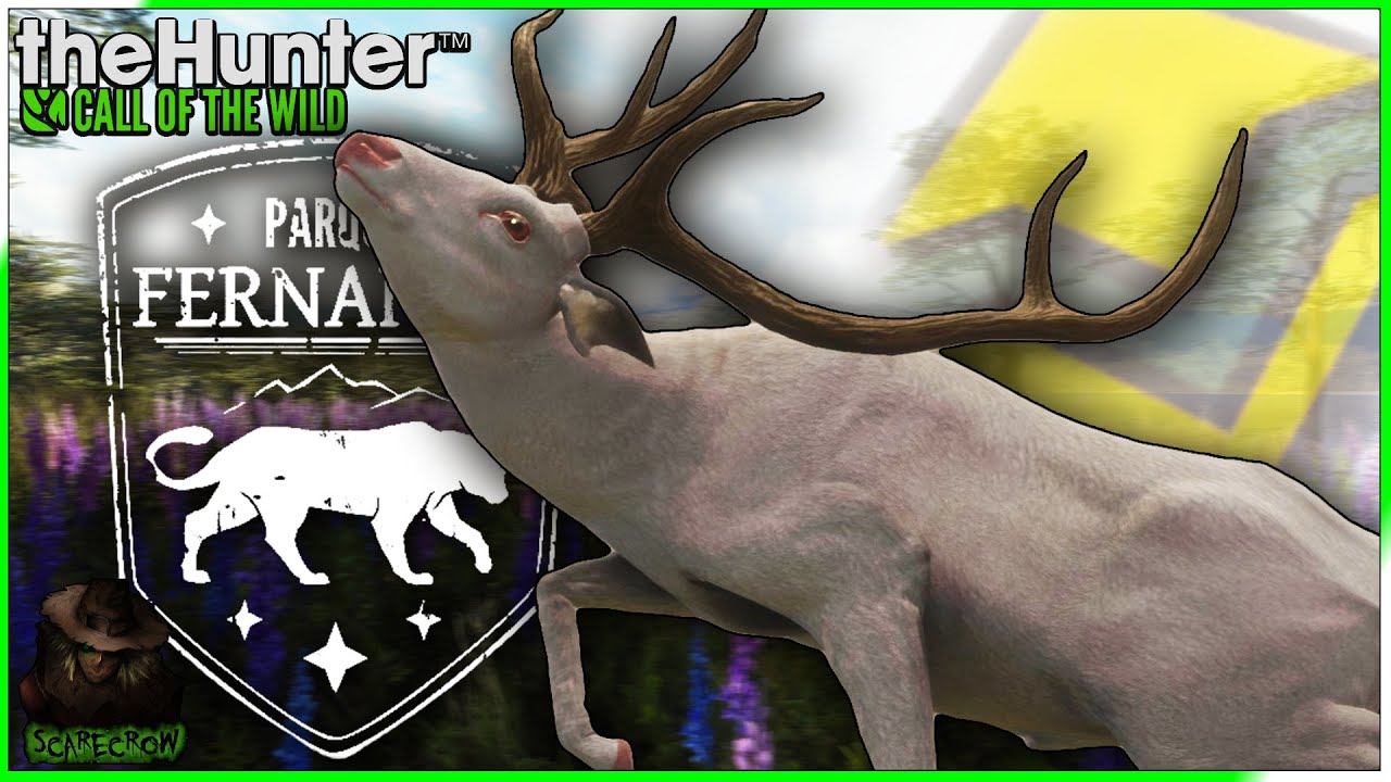 Hunting an Albino Diamond Truracs Axis Deer 🎯