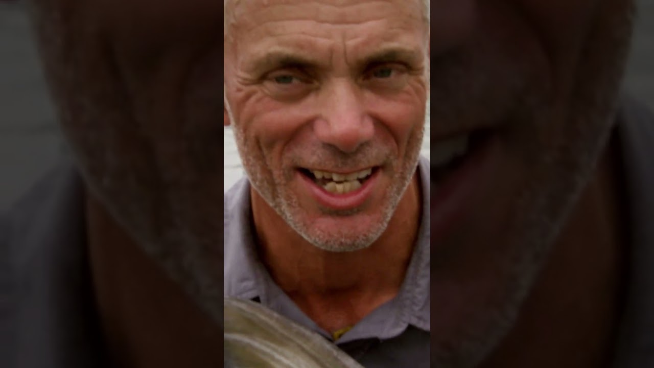 Jeremy Esta Pescando Monstruos de Río 🎣