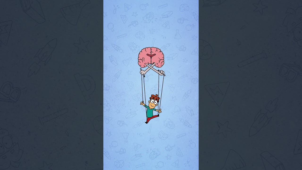 Effects of Removing the Brain's Corpus Callosum 🧠