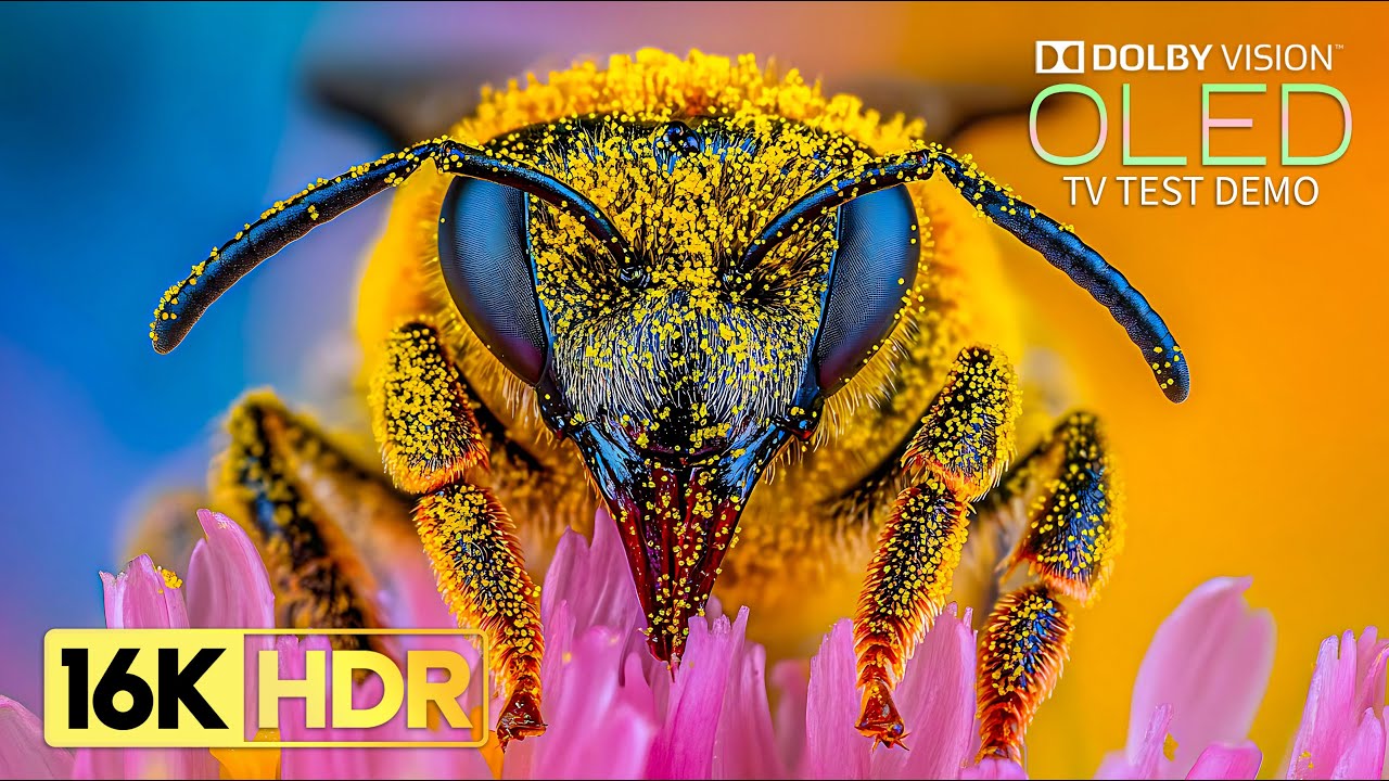 Stunning 16K HDR 120fps Dolby Vision on 8K/4K TVs