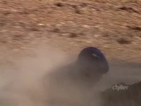 Fear Factor S03E11: Scooter Plank & Old Egg Nog 🥚